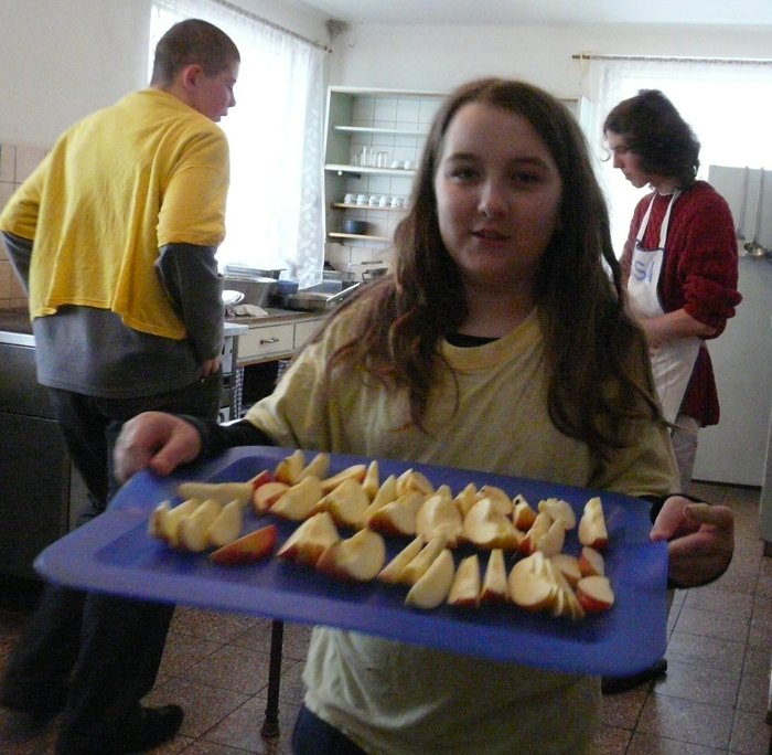 085 Expedice GEMINI 2009